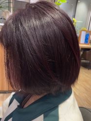 -Mentor Hair Salon