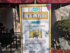 -三里屯东五街银杏大道