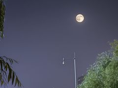 -泉城广场