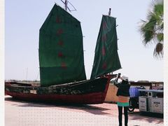 -大湾区中央湿地公园-十九涌