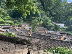 -杨家堂村