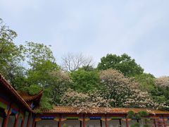 -皇藏峪国家森林公园