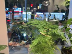 -鑫花溪牛肉米粉(凤凰街创始总店)