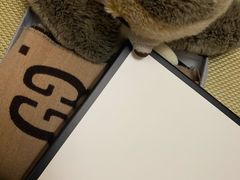 -Gucci(北京金融街购物中心店)