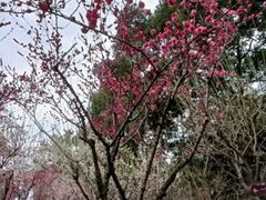-成都杜甫草堂博物馆