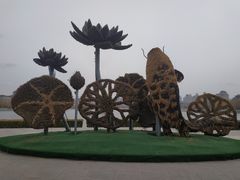 -莲花池公园