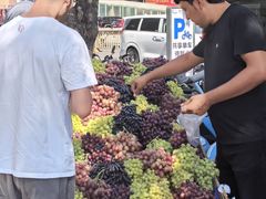 -伊犁老城喀赞其民俗旅游区