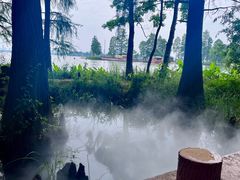 -东湖落雁景区
