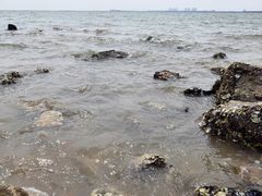 -天津东疆湾沙滩景区