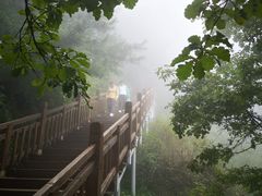 -陕西省红河谷森林公园