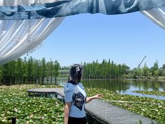-白鹭湾湿地公园