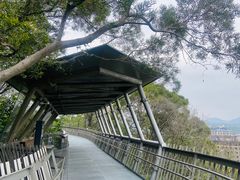 -福道