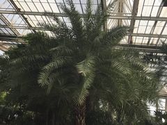 -龙达温泉生态城