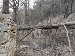 -龙洞风景区-藏龙涧