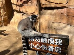 -北京野生动物园