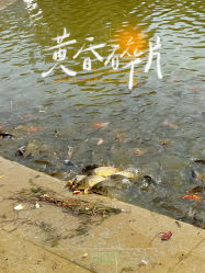 -北京科学中心儿童乐园