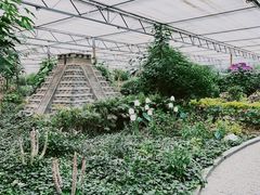 -南宫五洲植物乐园