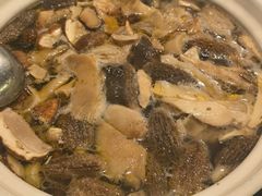 -蘑统田下·野生菌火锅