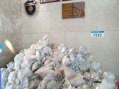 -湖南省地质博物馆