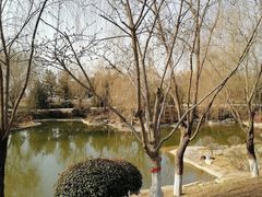 -鹦鹉寺公园