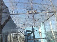 -秦皇岛野生动物园