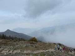 -灵山