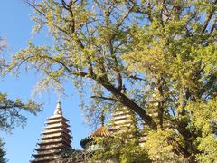 -北京石刻艺术博物馆(五塔寺)
