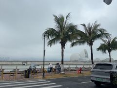 -野狸岛