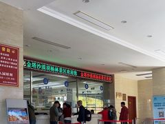 -金塔沙漠胡杨林景区