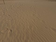 -日照海滨国家森林公园