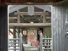 -大唐贡茶院
