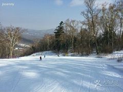 -亚布力新体委滑雪场