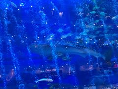 -成都浩海立方海洋公园