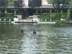 -春晖园度假酒店温泉