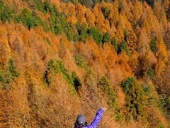 -山王坪喀斯特国家生态公园