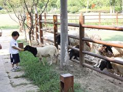 -南京市无想山景区