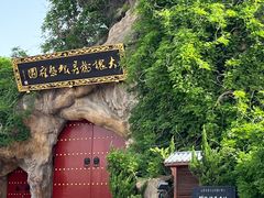 -大槐树寻根祭祖园