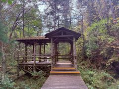 -五营红松林海景区