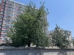 -宝瑞门钉肉饼店