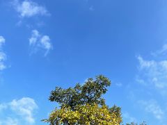 -滴水湖