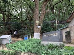 -马王堆汉墓遗址