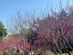 -乌山风景区