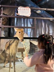 -酷嗒动物文化乐园(cutezoo西溪乐天城店)