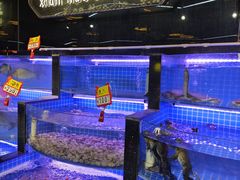 -亿牌牌东北烧烤(博物馆旗舰店)