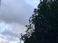 -叶家花园