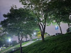 -白石龙音乐公园