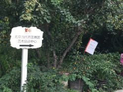 -北京当代芭蕾舞团·艺术中心