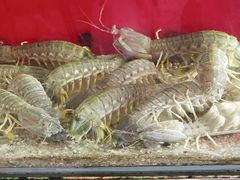 -大树下海鲜饭店