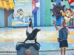 -海合安成都极地海洋公园