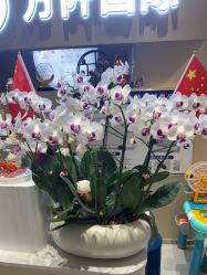 -万阡国际专业祛斑·祛痣·祛疤连锁